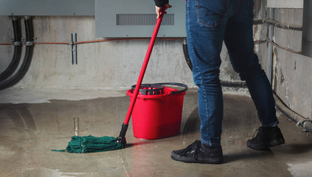 Best Water damage restoration insurance claims  in Topeka, KS