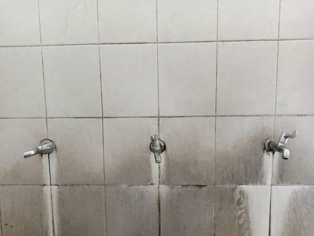 Best Carpet water damage restoration  in Topeka, KS