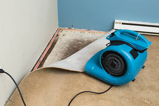 Best Flooded house restoration  in Topeka, KS
